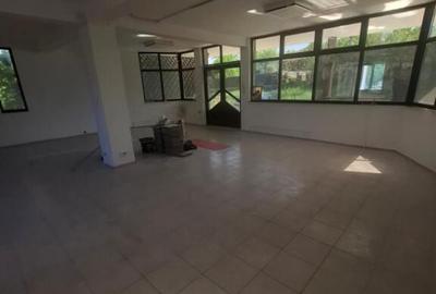 Urgent ocazie investitie casa 400mp+spatii comerciale, rezi Urgent ocazie investitie casa 400mp+spatii comerciale, rezi - 4