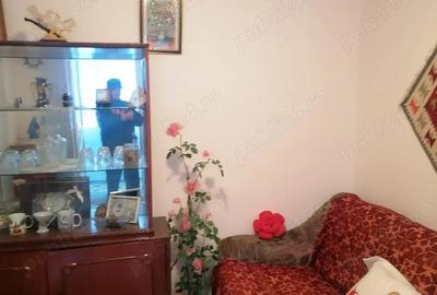 Casa de vanzare JUD Tulcea Comuna Rachelu Casa de vanzare JUD Tulcea Comuna Rachelu - 4