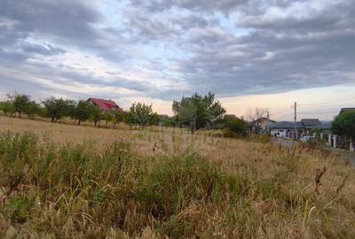 Teren Construcții intravilan de 10000 mp, în Păulești - 3