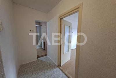 Garsonieră decomandată în Turnișor - 8
