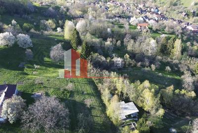 Teren Construcții intravilan de 1750 mp, în Bran - 2