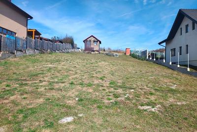 Vand teren in Chinteni - 2