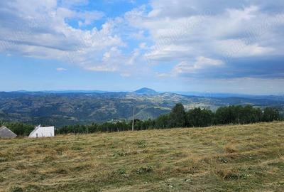 Teren în Poiana Mărului - 9