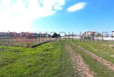 Corbeanca - Tamas, teren intravilan 19.325 mp - 3