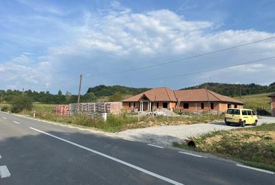 Teren Construcții intravilan de 2655 mp, în Dobrești - 7