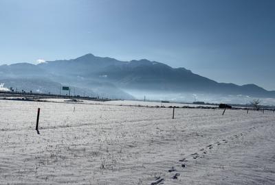 Teren intravilan la 10 km de Ghimbav - 10