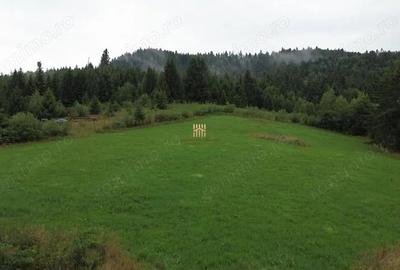 Teren 5023 mp In Bucovina Zona Manastirea Voronet De Vanzare 0727817187 - 1