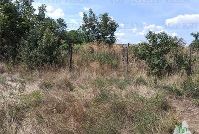 Teren intravilan in localitatea Cornetu cu deschidere mare, ideal pentru dezvolt Teren intravilan in localitatea Cornetu cu deschidere mare, ideal pentru dezvolt - 8