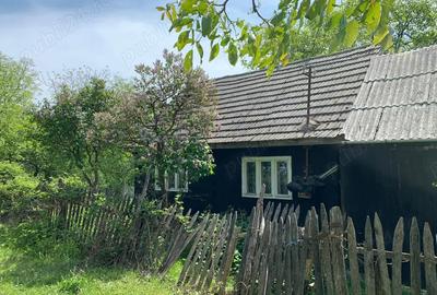 Casa cu teren ,Camp Mo?i, jude?ul Bihor - 2