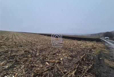 Teren de 7400 mp, în Moara - 1