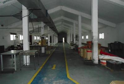 Hala de inchiriat in Aradul Nou - 8