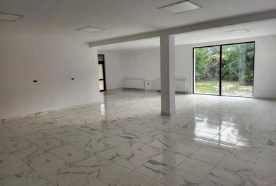 Inchiriez spatiu comercial si casa in comuna Pangarati la DN - 8