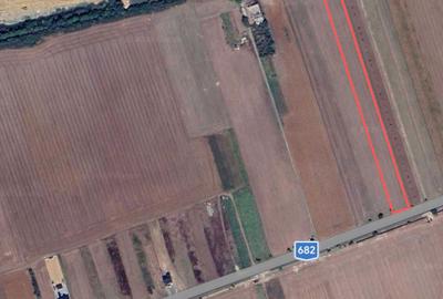 Teren de 10000 mp, în Zădăreni - 2