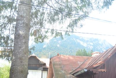 Inchiriere apartament cu trei camere in vila - 10