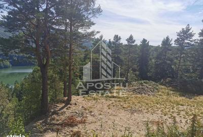 Spațiu comercial, în Central - 1