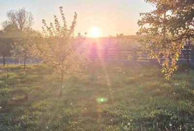 Casă cu 4 camere în Central - 2