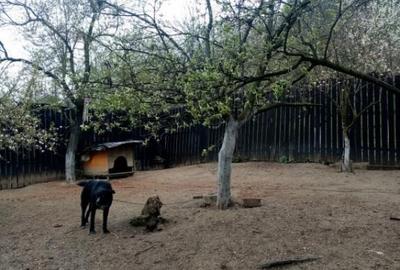 Casa in Motru, Com Slivilesti, Sat Miculesti - 1