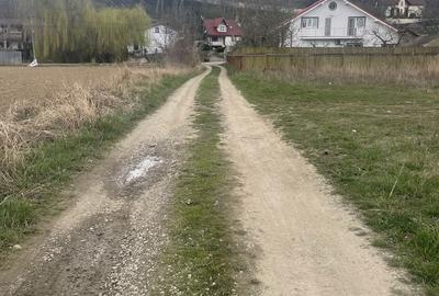 Teren de 700 mp, în Hemeiuș - 2
