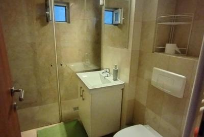 Apartament cu 3 camere de inchiriat in Timisoara, zona Timocului-Saguna - 7