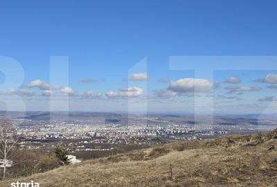 Teren de 4000 mp, în Făget - 10