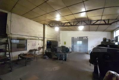 Hale pentru industrie grea ( confectii metalice) - 12