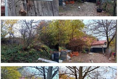 Casă cu 2 camere în Dobriceni - 4