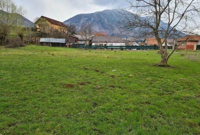 Teren Intravilan Tohanita - 1