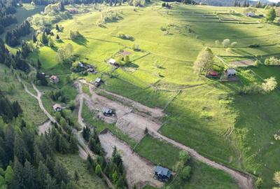 Teren Construcții intravilan de 1000 mp, în Băișoara - 3