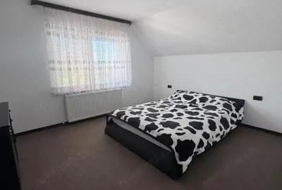 Casa individuala cu 5 camere, 450mp teren, Satu Mare - 10