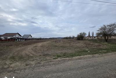Teren de 5077 mp, în Sângeorgiu de Mureș - 4
