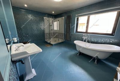 Casă individuală cu 7 camere cu Canalizare în Lipovei - 8