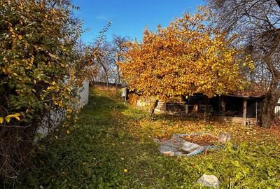 Casa de vanzare in Sacele, toate utilitatile - 10