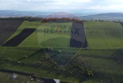 Teren agricol extravilan de 658 mp, în Nord - 8