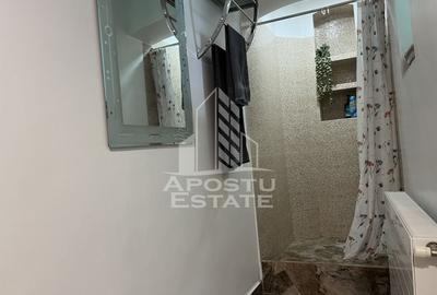 Apartament cu 2 camere, parter, curte, zona Piata Maria - 7