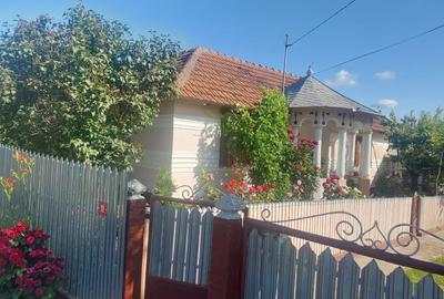 Casă cu 4 camere în Albița - 13