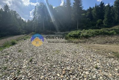 Teren cu o locatie de vis in Pangarati 53 m deschidere la strada - 9