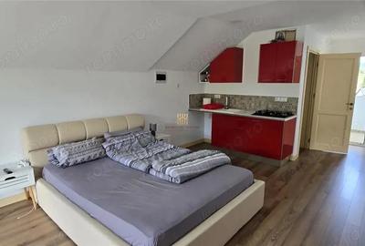 Casă cu 8 camere cu Teren 1845 Mp în Dorna-Arini - 7