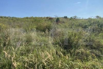 Teren de 3800 mp, în Crișeni - 5