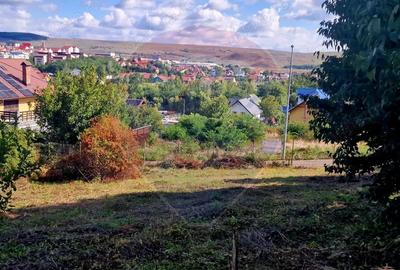 Teren de 1000 mp, în Central - 3