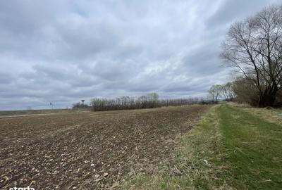 Spațiu comercial, în Central - 5