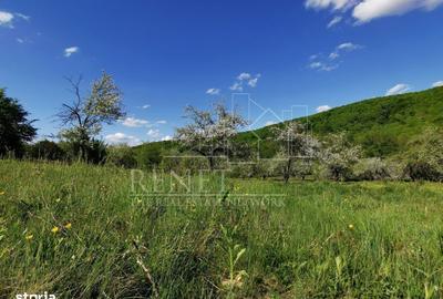 Spațiu comercial, în Budeasa - 11