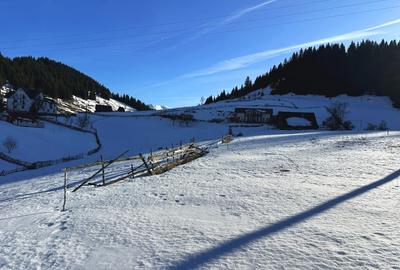 Teren intravilan 8400 mp, Fundata, zona Bran -  Moieciu - 5