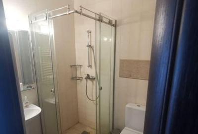 Apartament cu 3 camere decomandat, mobilat în Vitan - 10