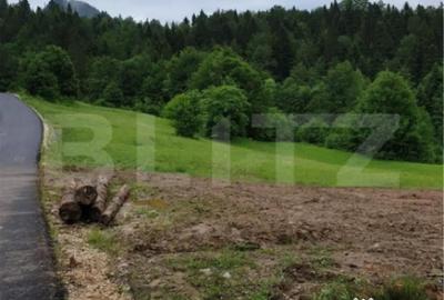 Teren de 923 mp, în Bucium - 1