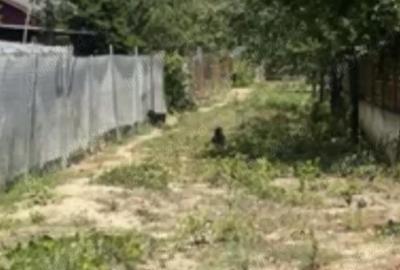 Teren de 5 mp, în Ciofliceni - 5