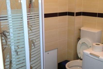 CASA INDIVIDUALA - Scriitorilor - 9