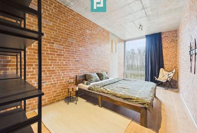 Apartament cu 2 camere, mobilat în Mogoșoaia - 13