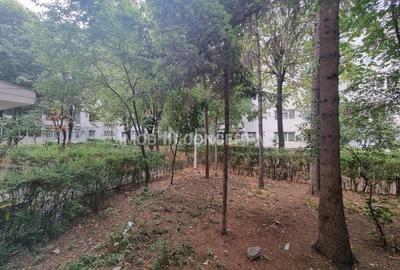 Apartament cu 2 camere semidecomandat, mobilat în Nord - Spitalul Județean - 17