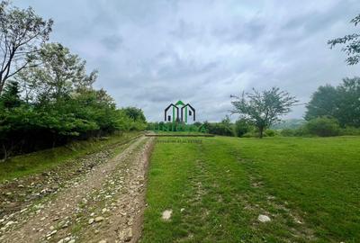 Teren Construcții intravilan de 3507 mp, în Seaca (Călimănești) - 3