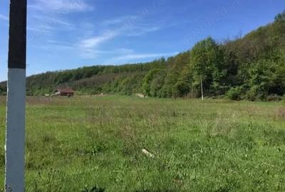 Teren de 1700 mp, în Bascov